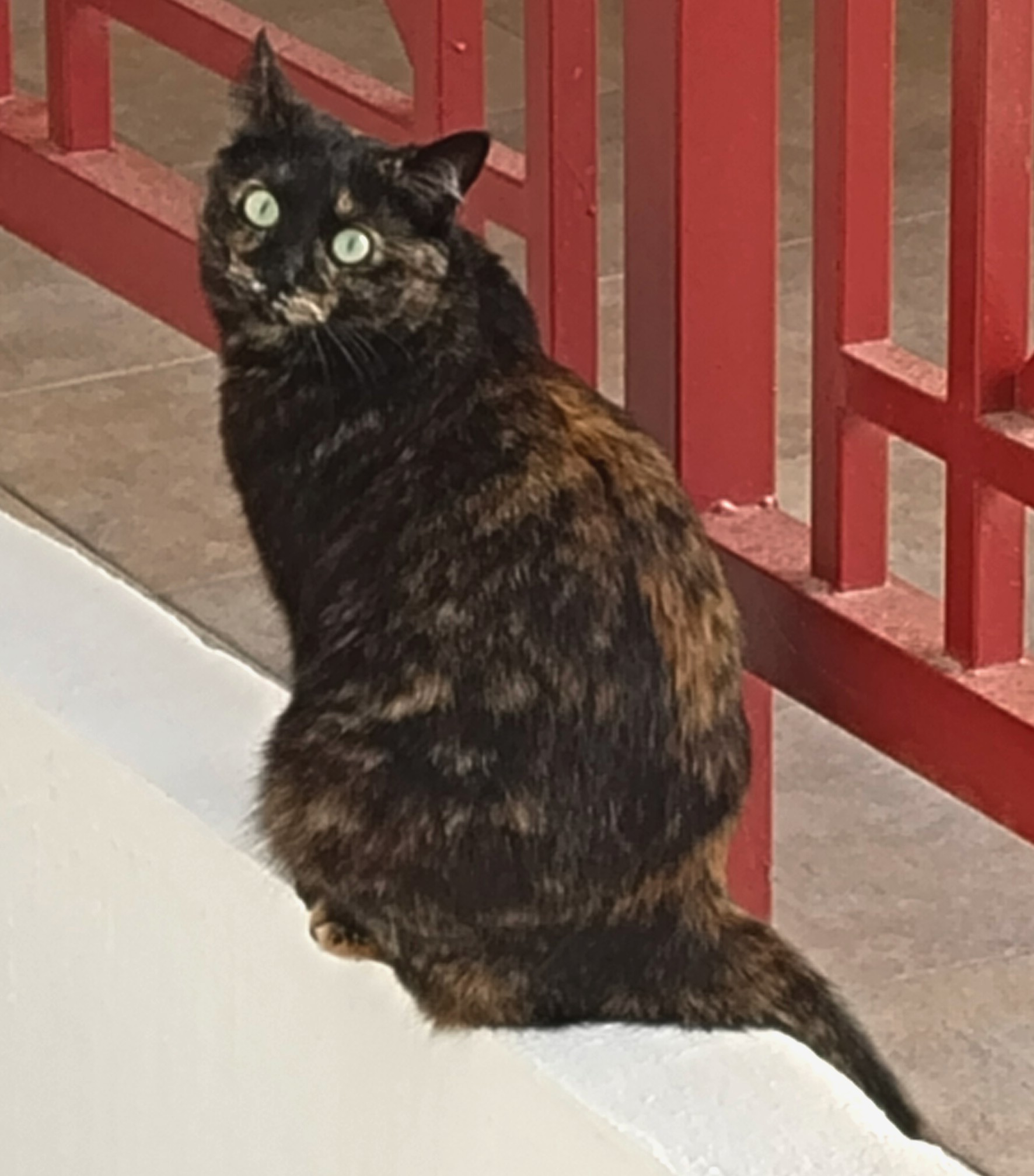 AAAAAAAAAAAAAAAAAAAAAAAAAAAAAAAAAAAA